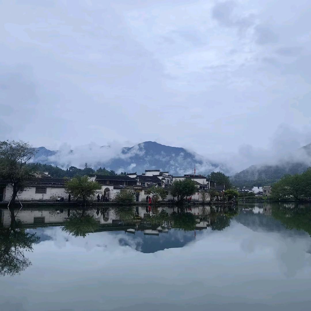 秦立云