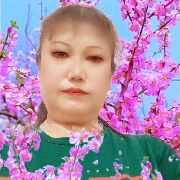 🌹幸福❤快乐🌹