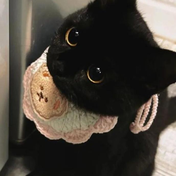 喵喵大王一喵老三