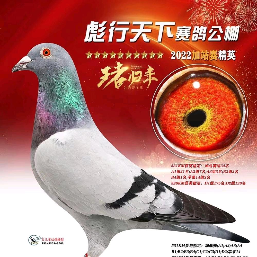 刘阿宇