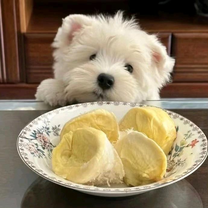 爱抽香烟（戒烟版）