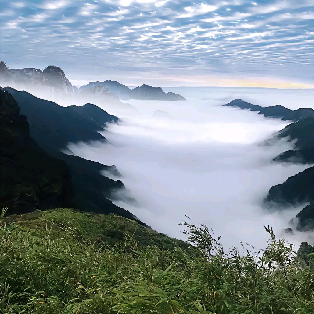 子非鱼，安知鱼之乐