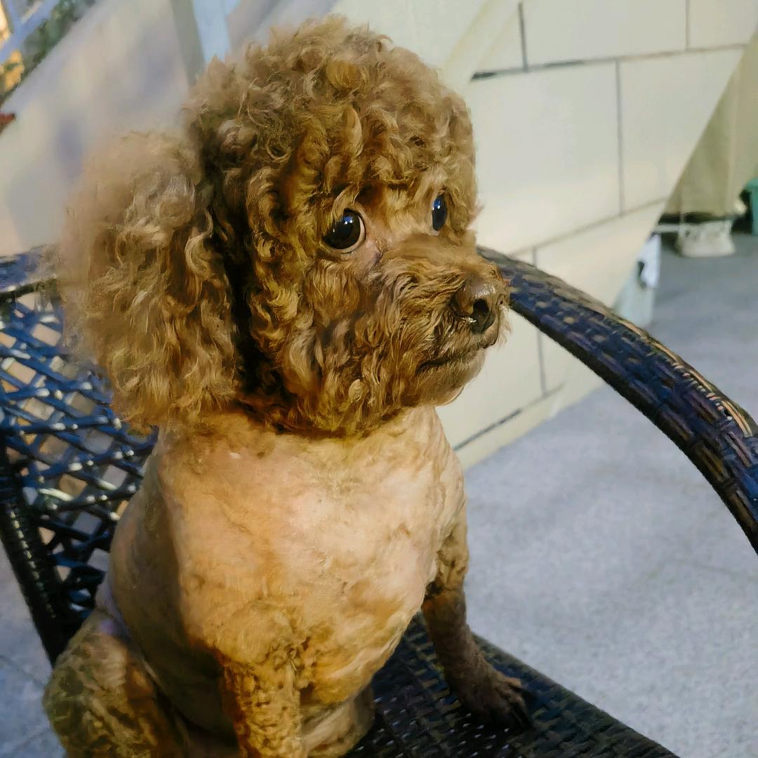 王小宝和薛包子