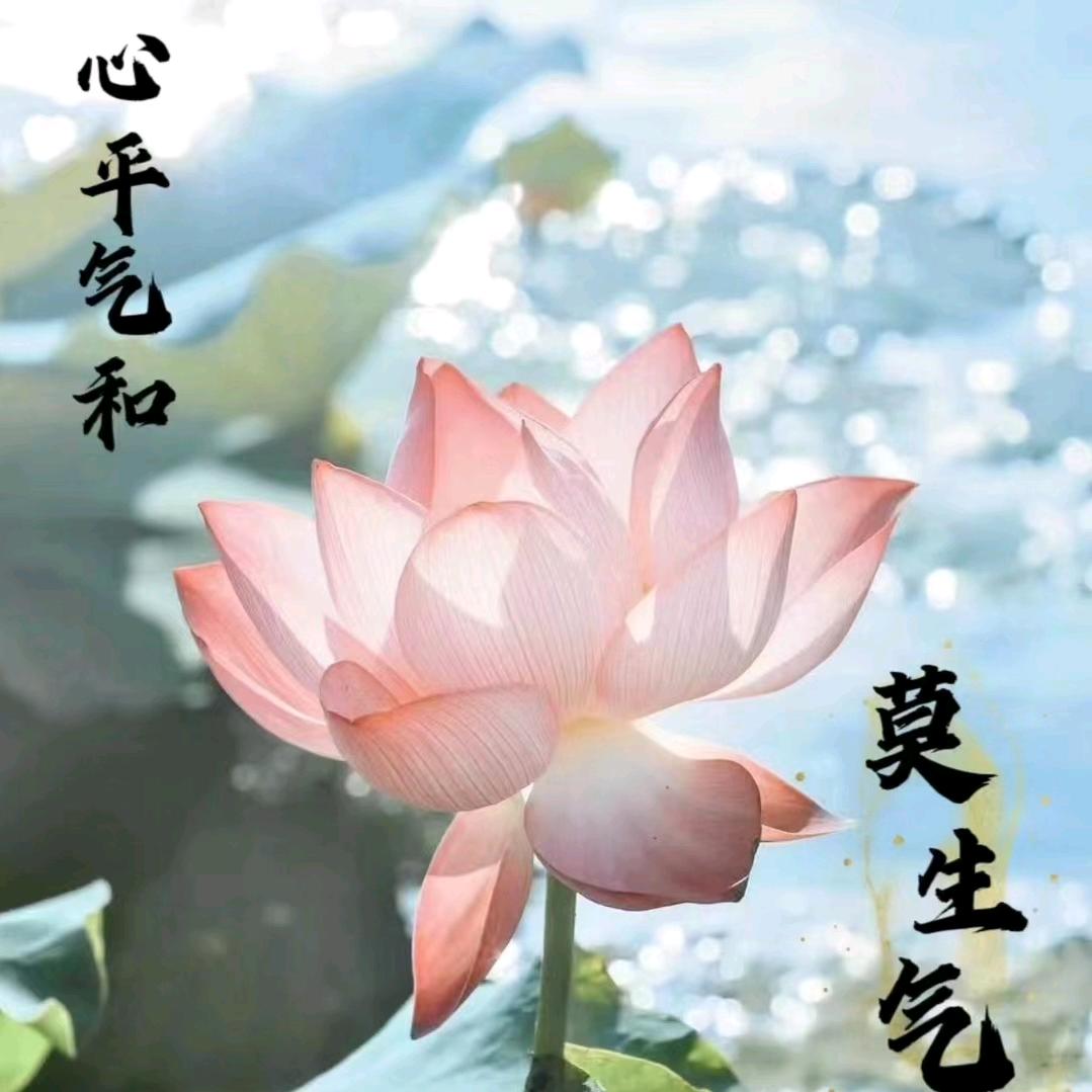 @李晨