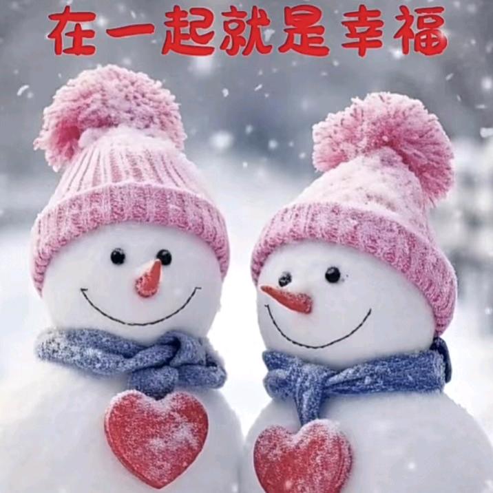 孟梦ZM