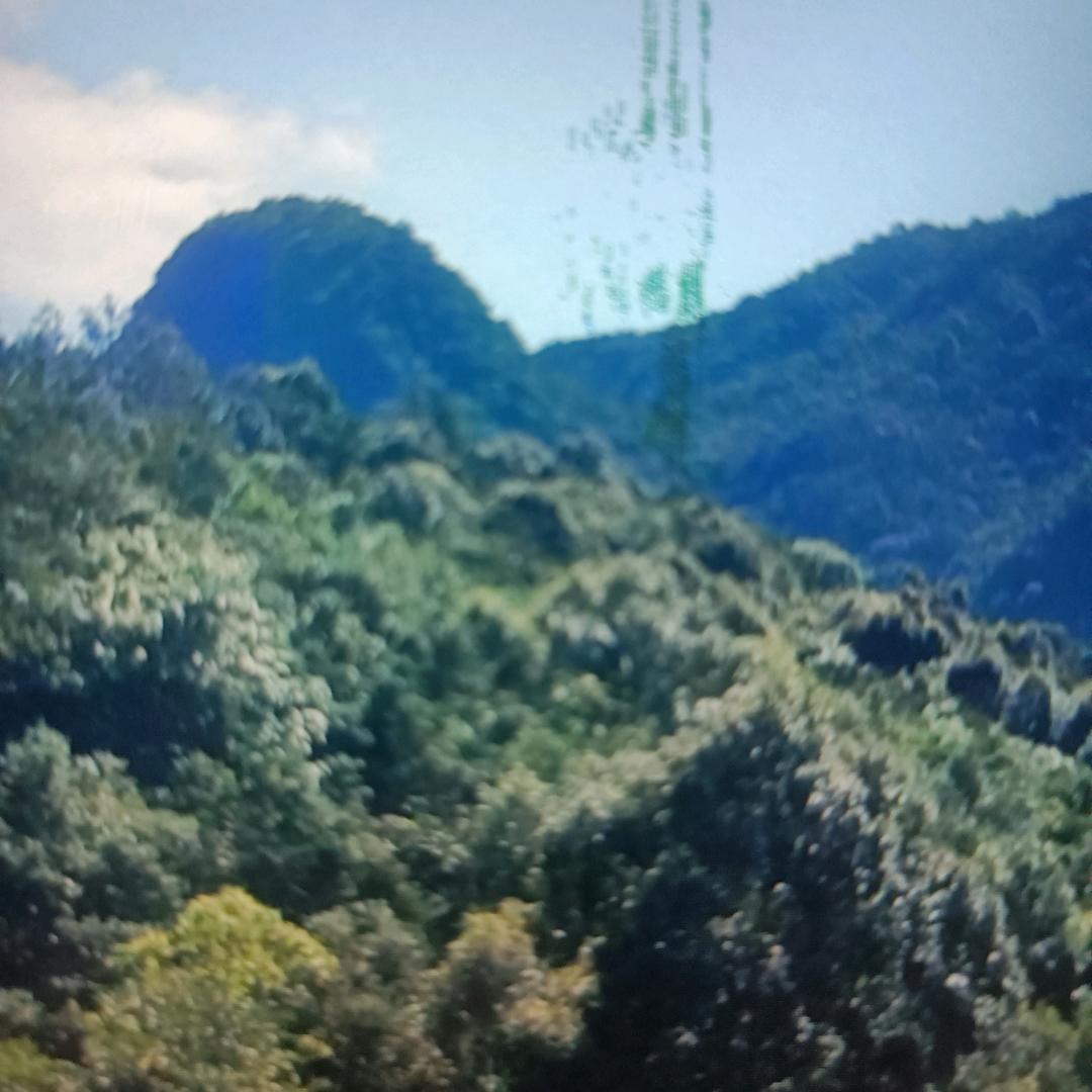 欢迎世界抖音朋友谢关注