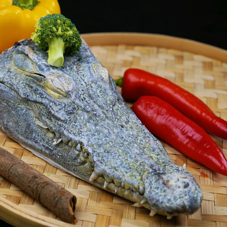海南新鲜鳄鱼🐊肉