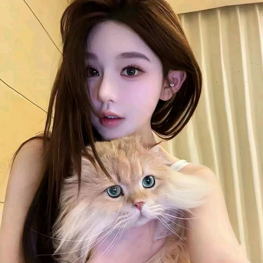 南疆