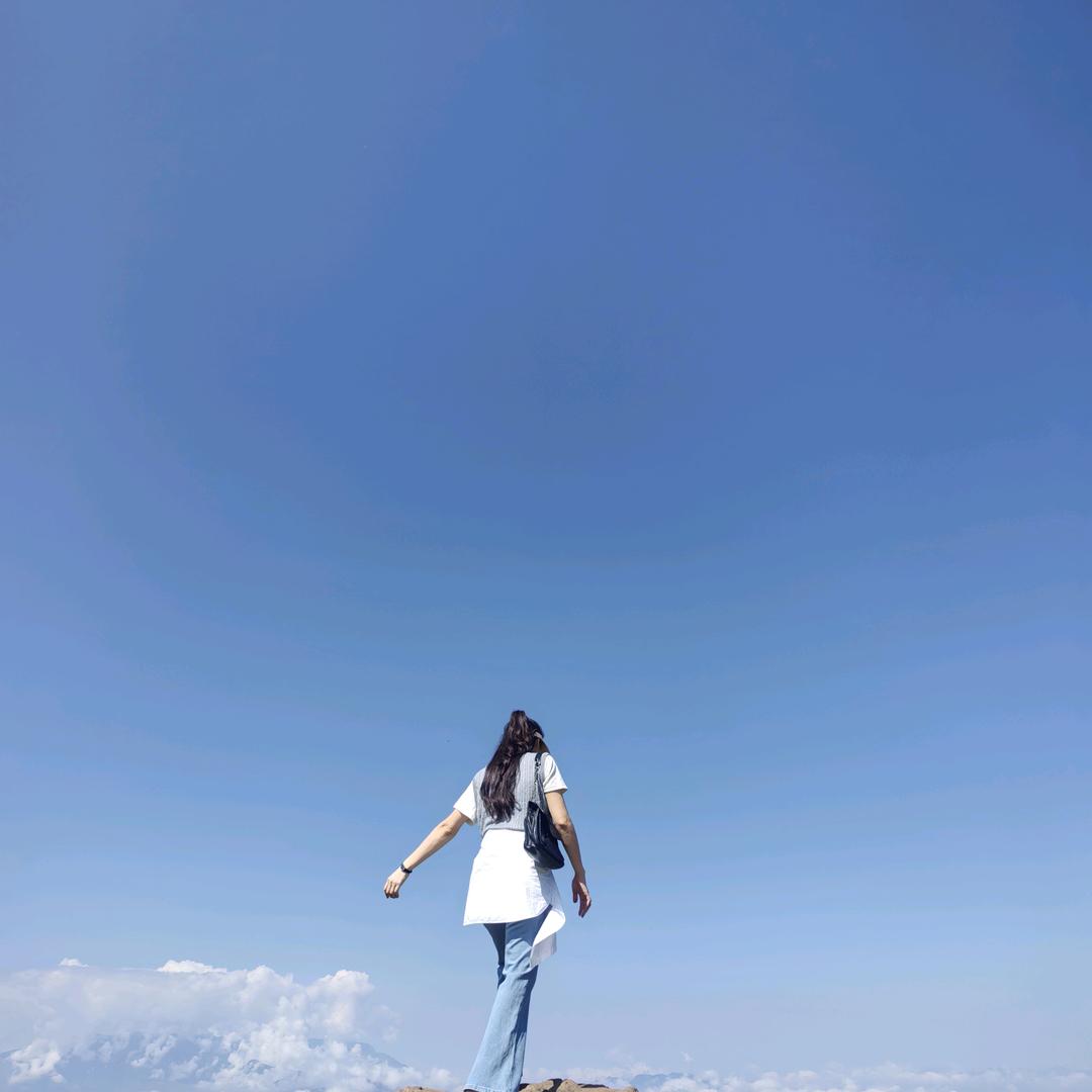 凤妹儿