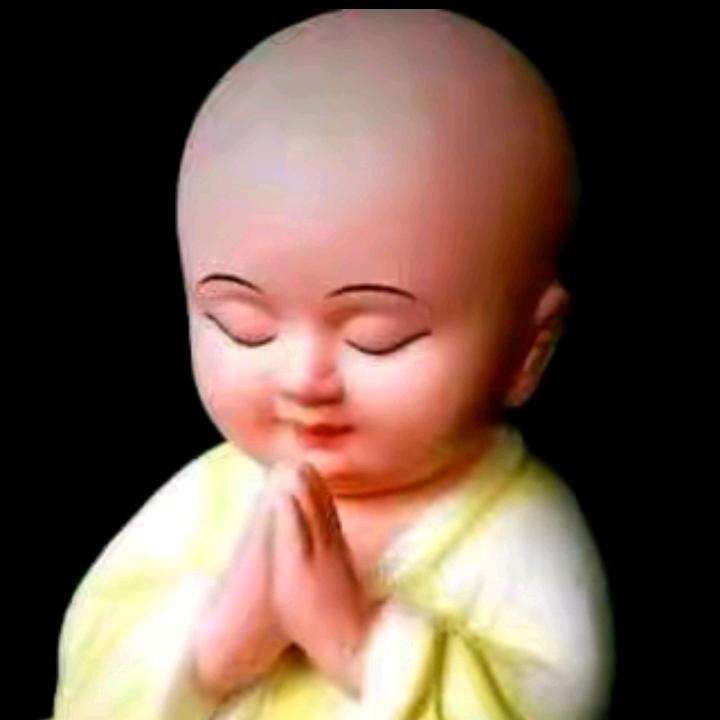 《富哥》