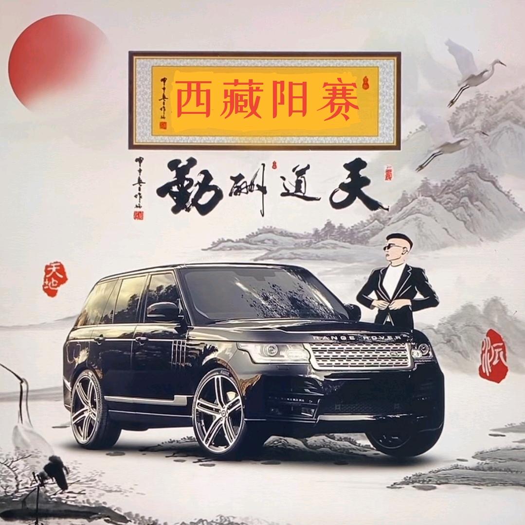 西藏阳赛汽车服务