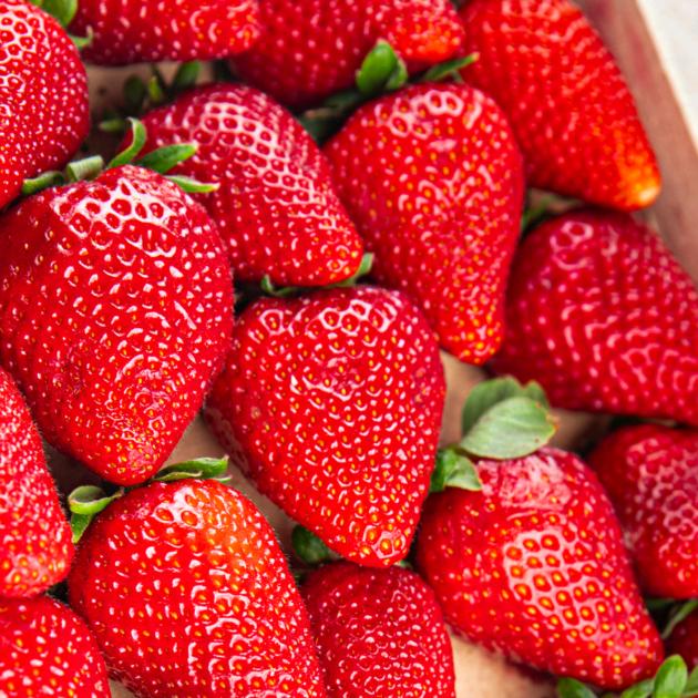 🍓胜桥村草莓采摘园