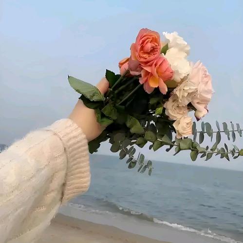 苏波河曼哈
