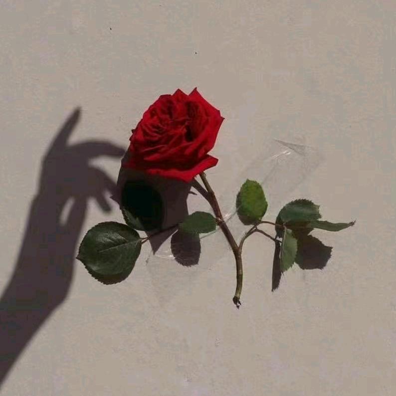 ❥ ·" 陳嘉（互）