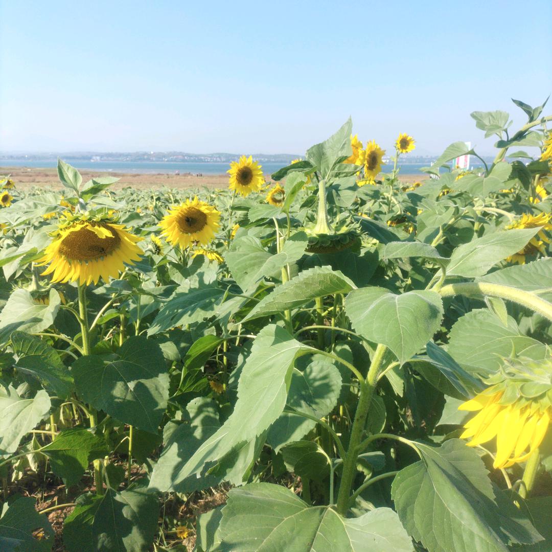 望我事业蒸蒸日上