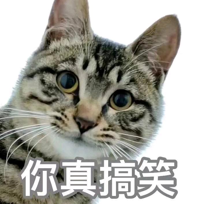 六六不一样