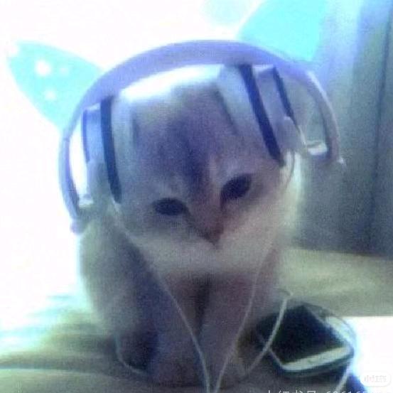 鱼老师心理咨询在线答疑