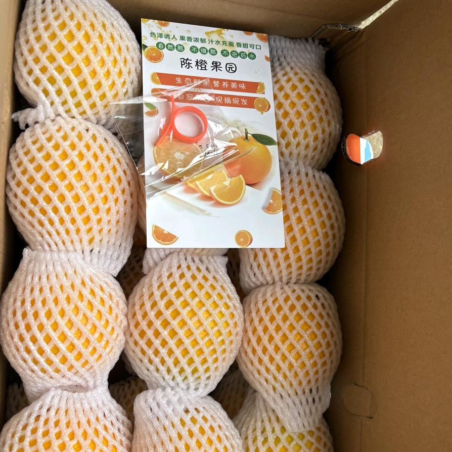 陈橙果园