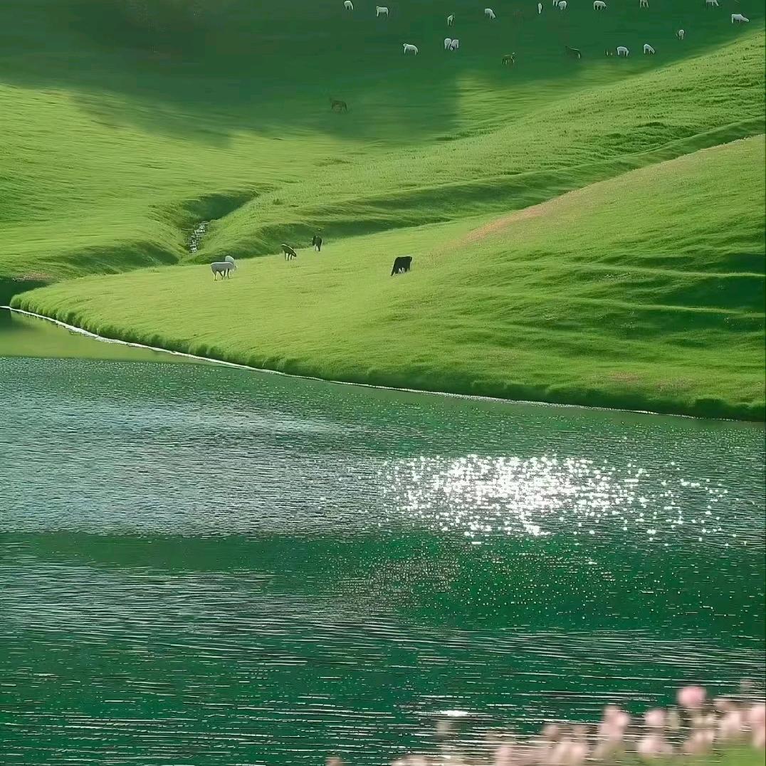 沐晴澜
