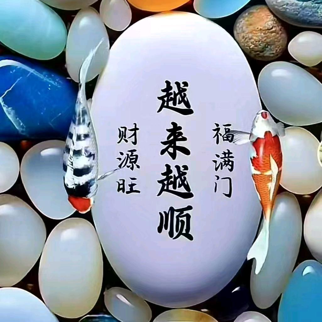 诗雨 鞍山团购
