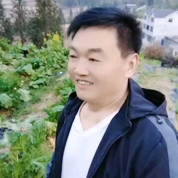 张哥
