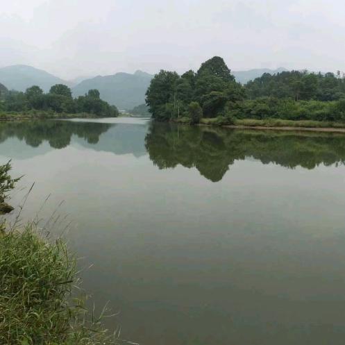 勿寻欢