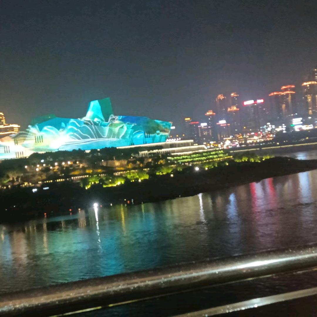 毒刺玫瑰