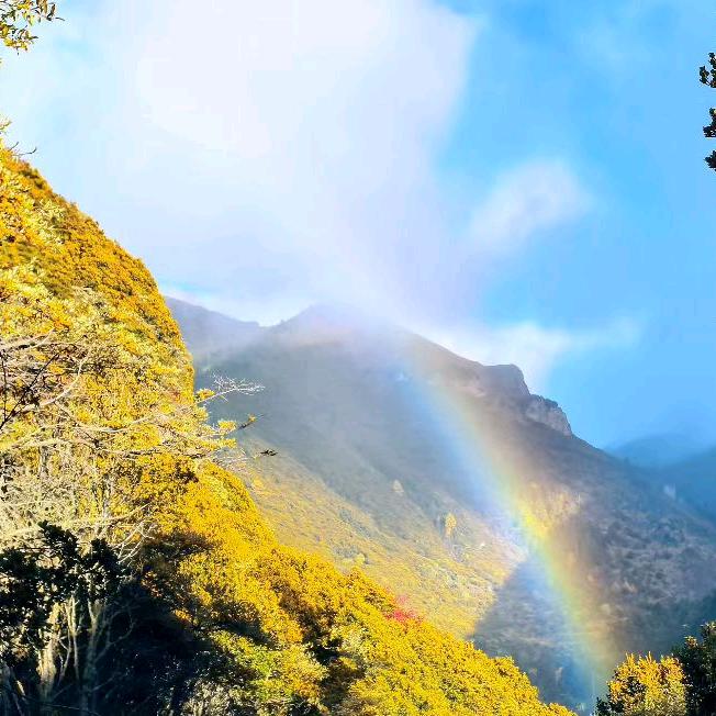 ঞ᭄魏来可期໊ഒᩚ࿐