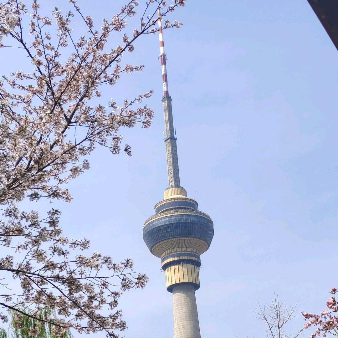 爱在深秋