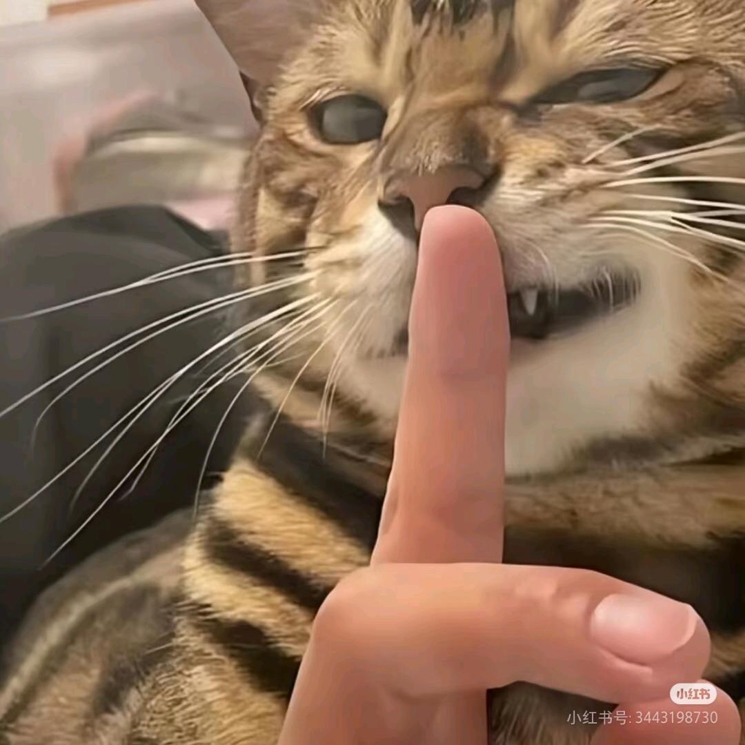 熊熊不想跑ʕ·ᴥ·ʔ