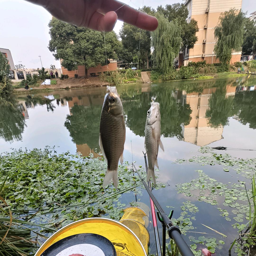 小楼<清风一杆>