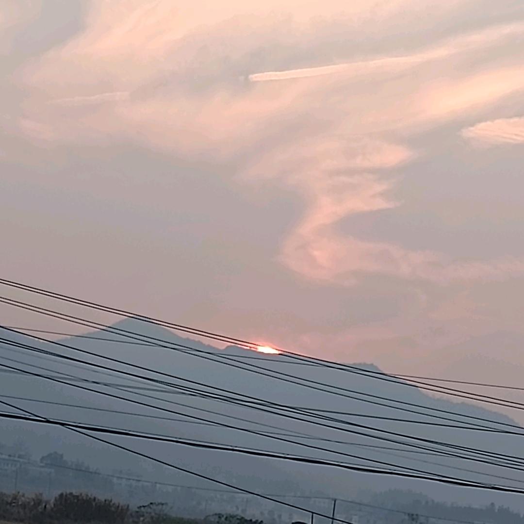 普法  《格子铺》