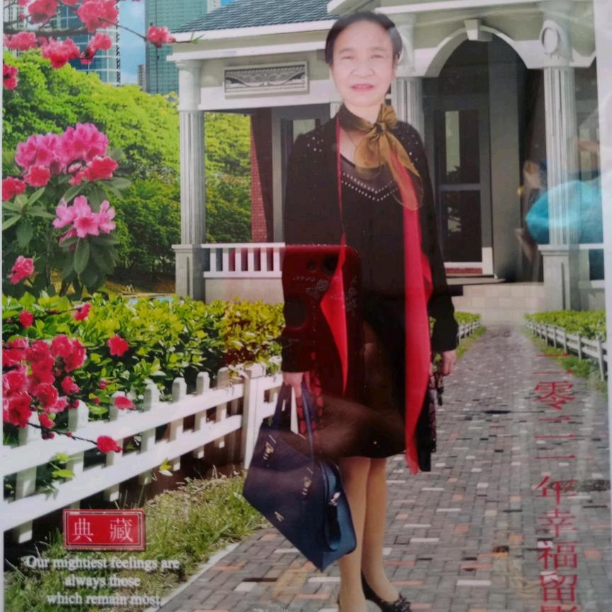 展翅飞翔的燕:邓小燕