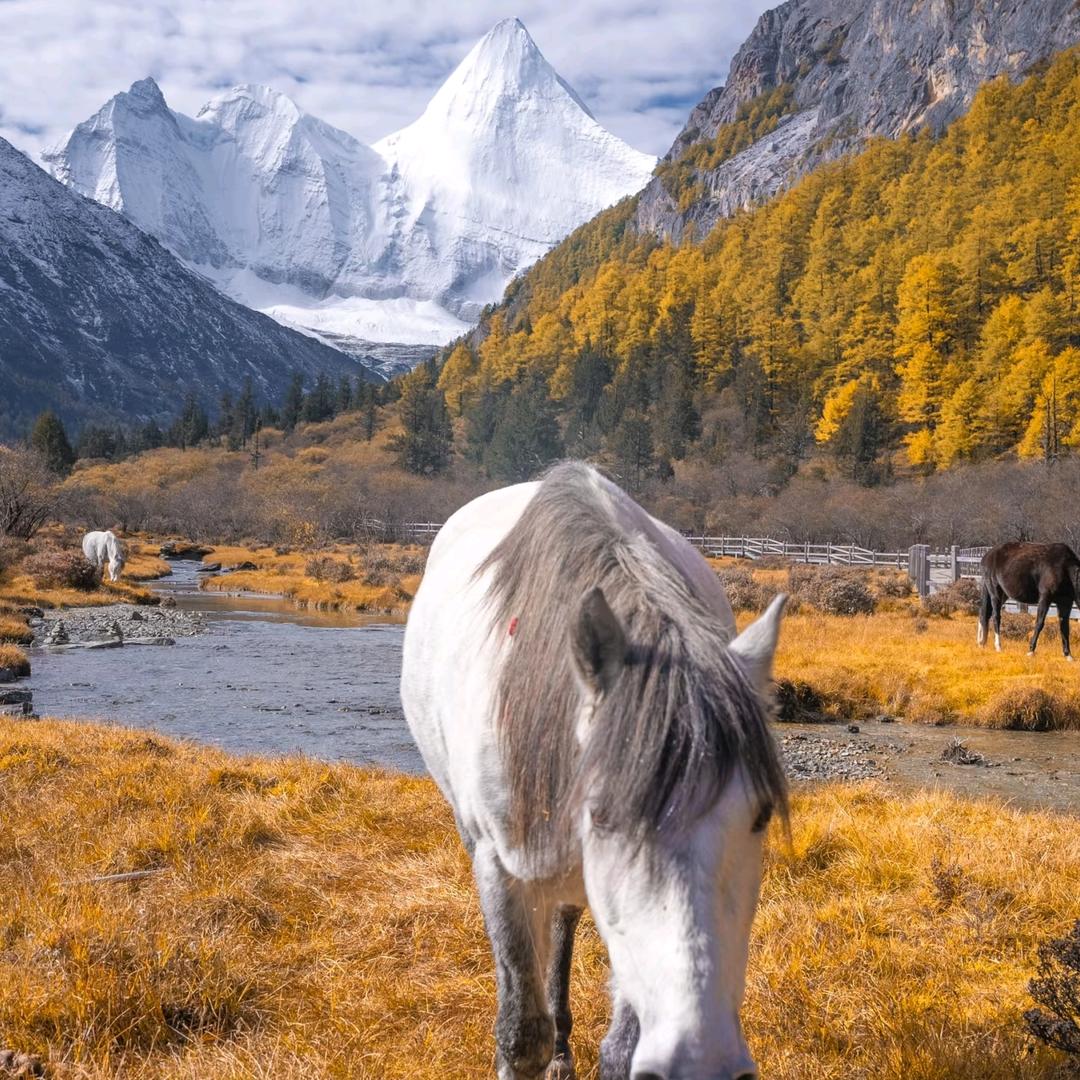 一路向西（旅行者春哥）