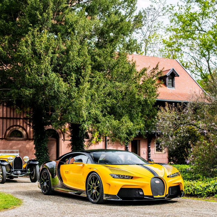 枫叶🍁踩收@山里红