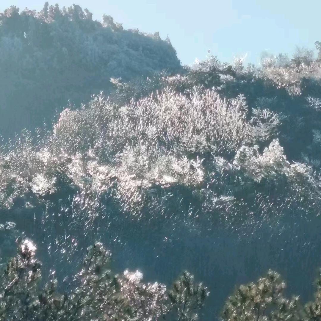 烟蒂般的记忆