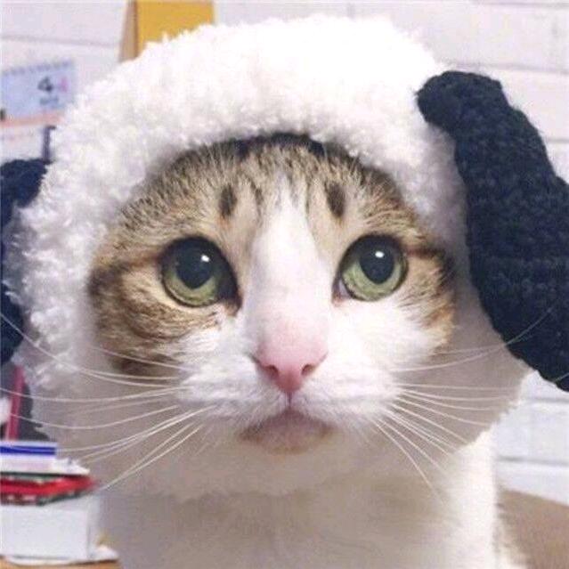 记得说晚安