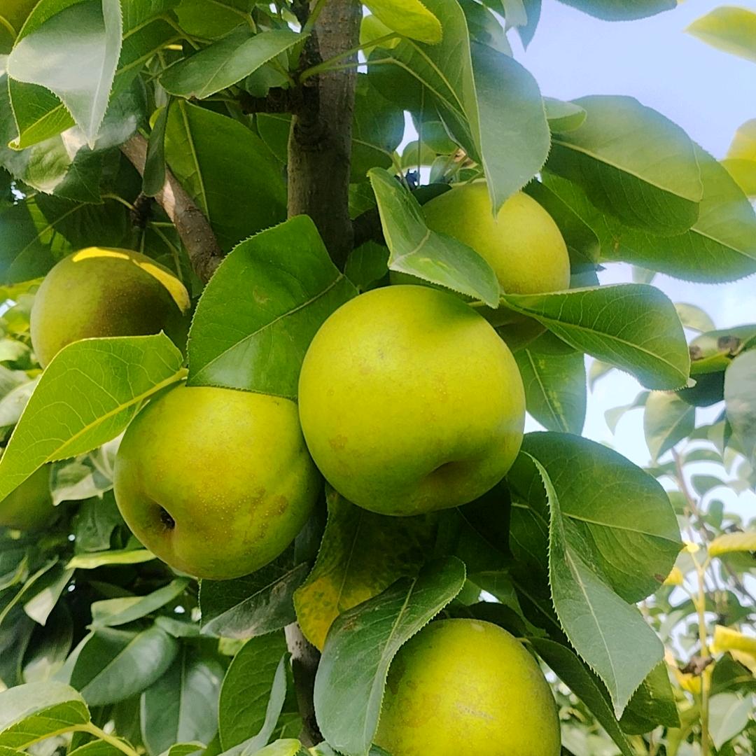 心想事成/5755767/39