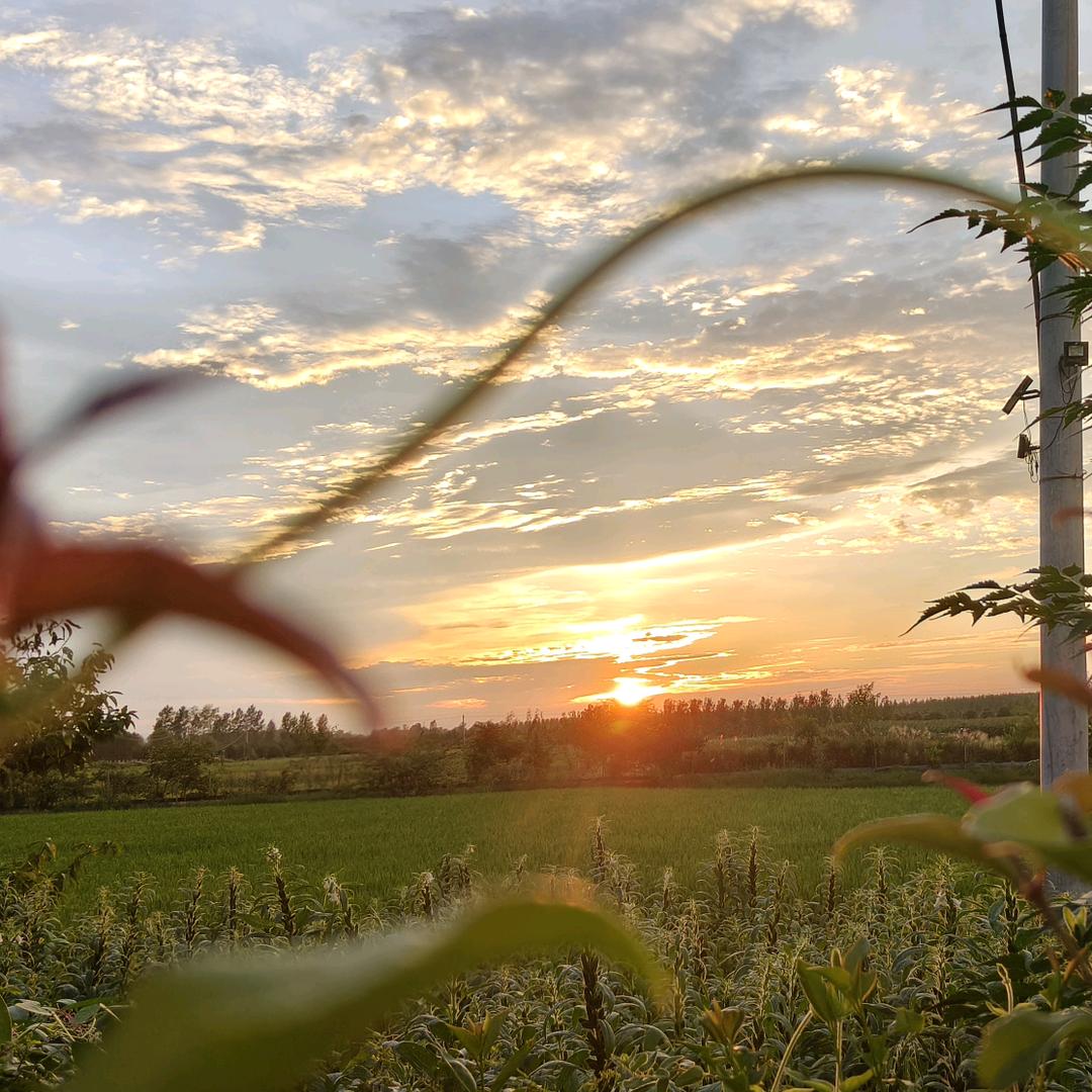 张𝒵𝒽𝒶𝓃ℊᥫᩣ