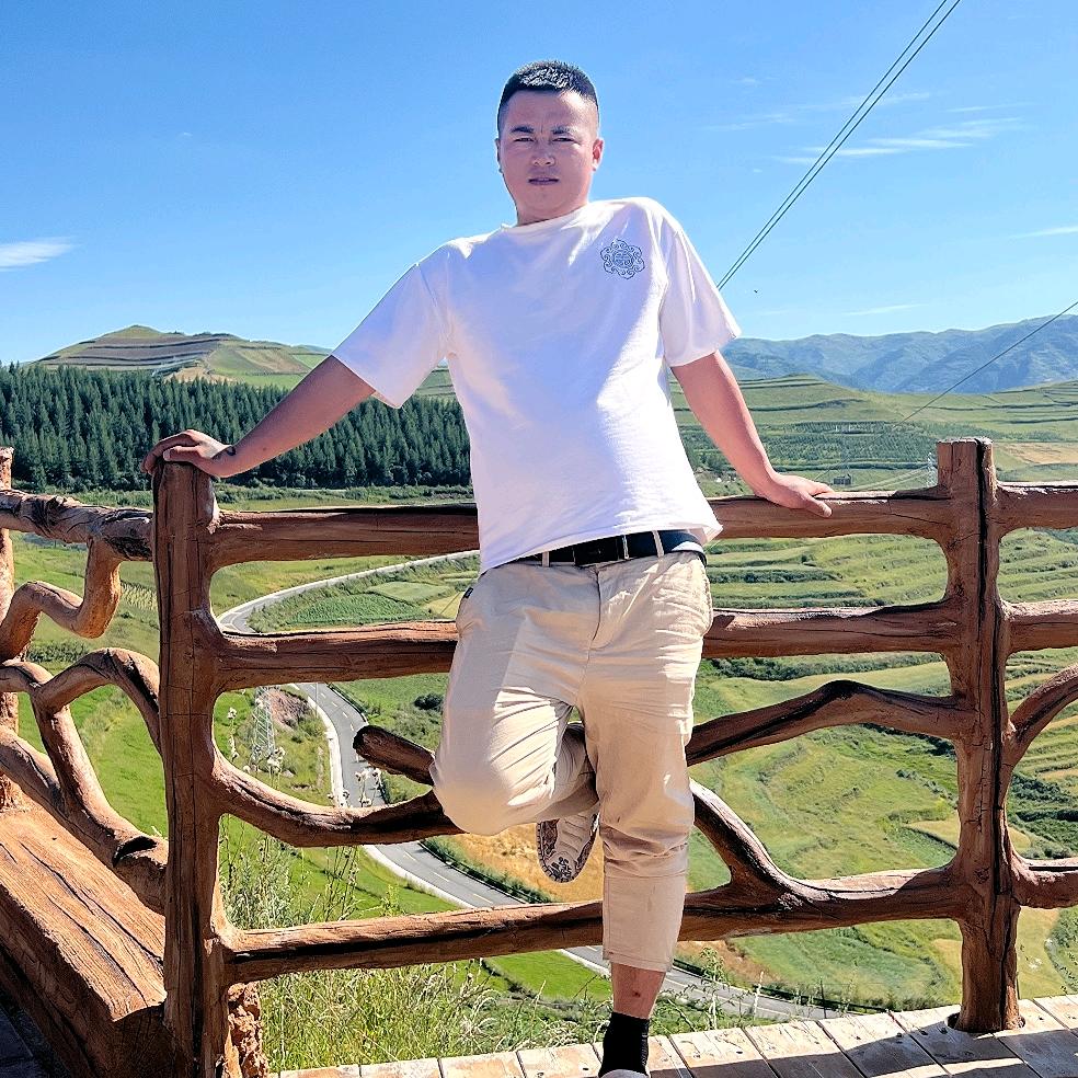 🈚乃一介粗人。