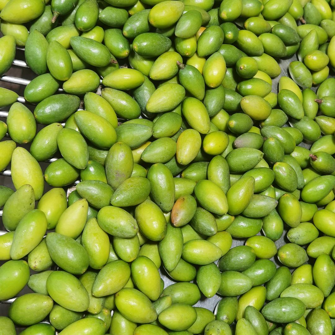 A陈辉-青橄榄产地直销