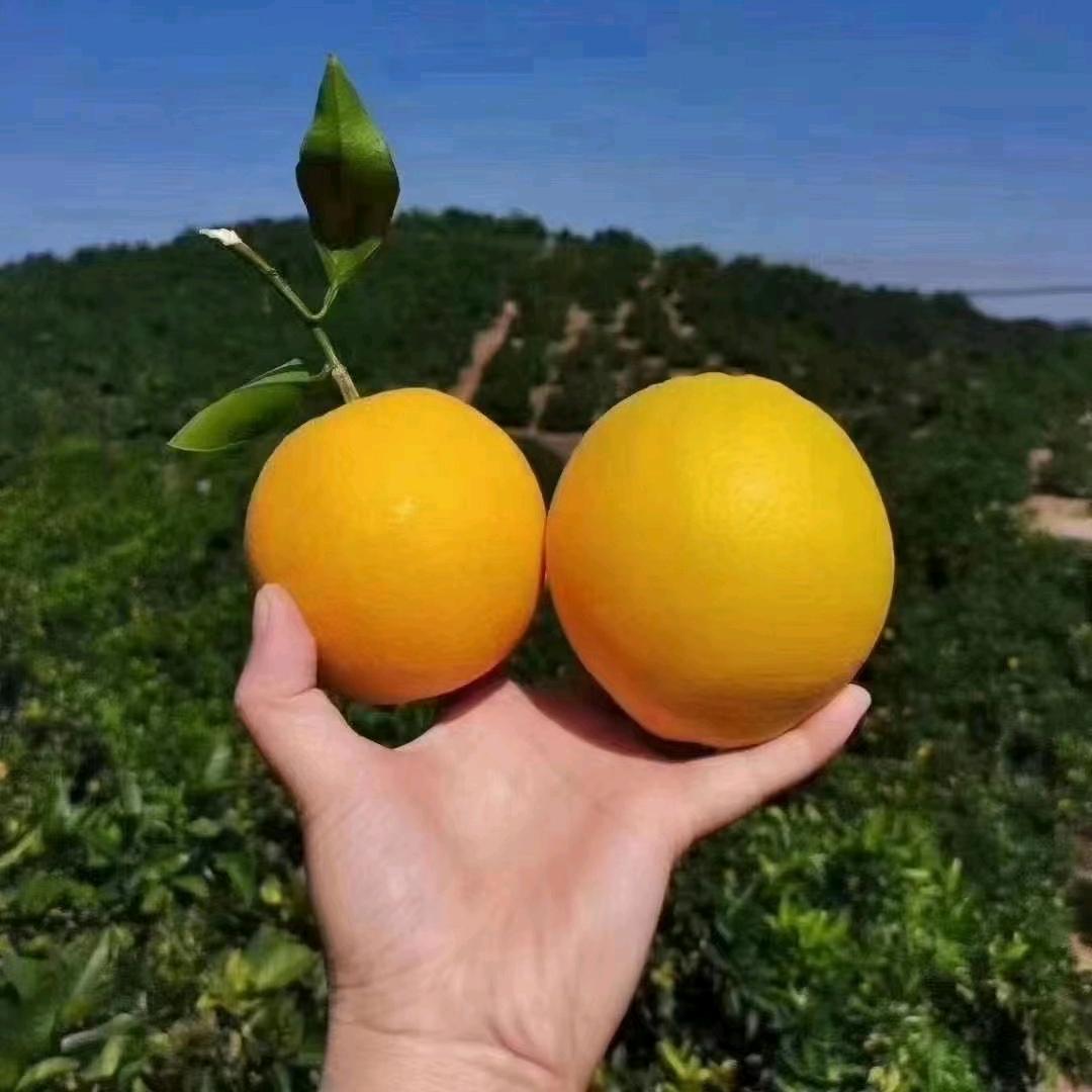 🌈小白