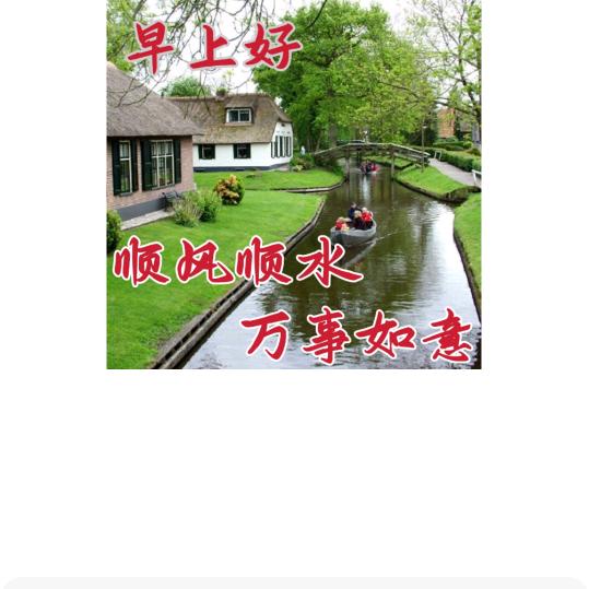 叶老