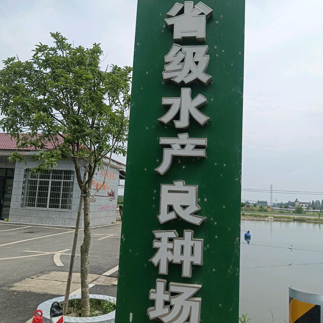 湖南安福水产(英姐)