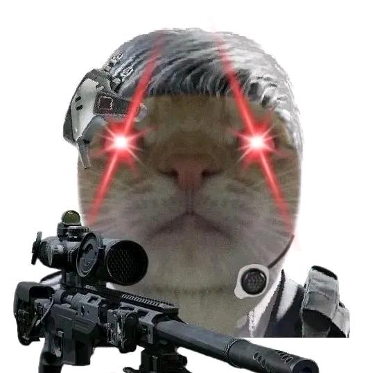 wg（三角洲行动）