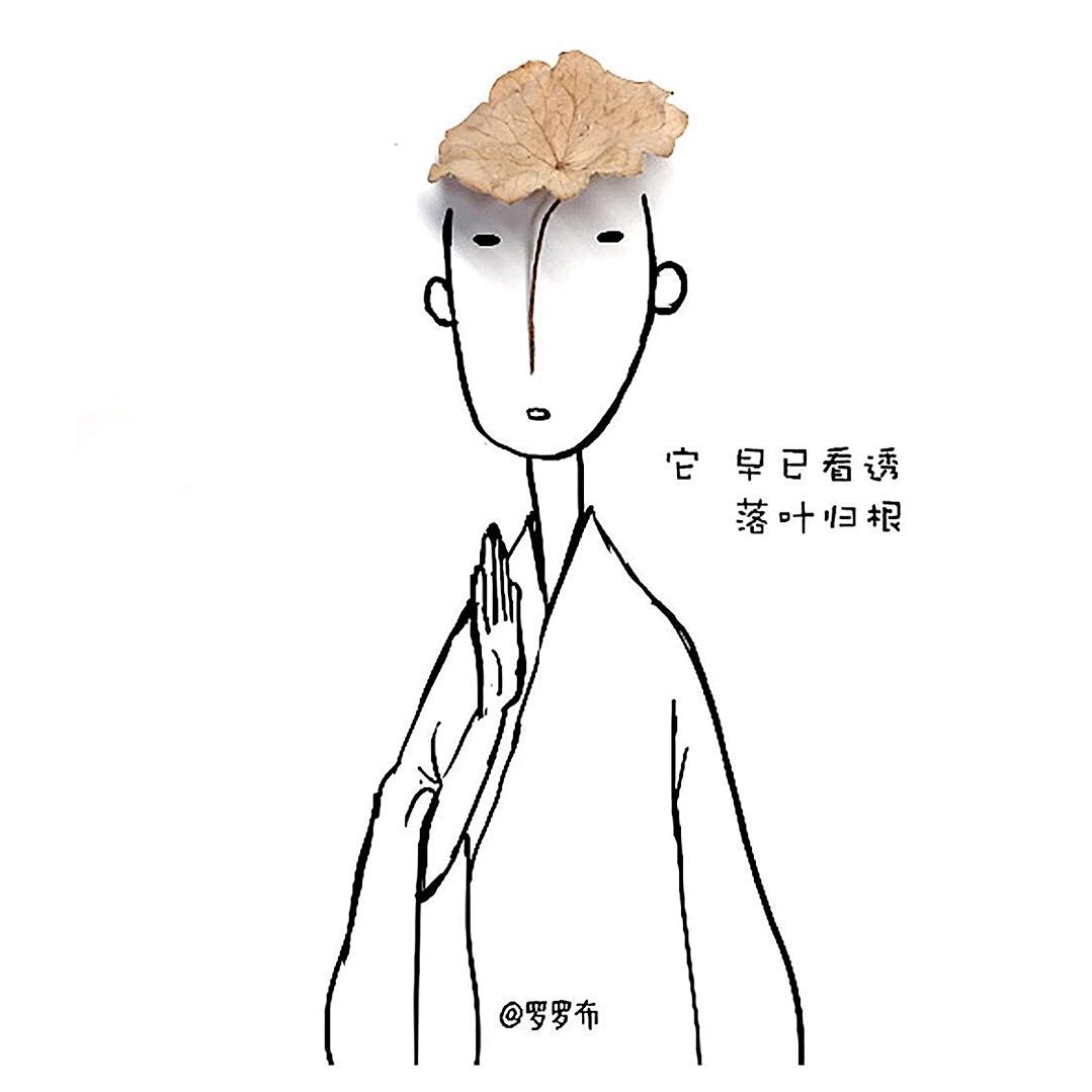慧