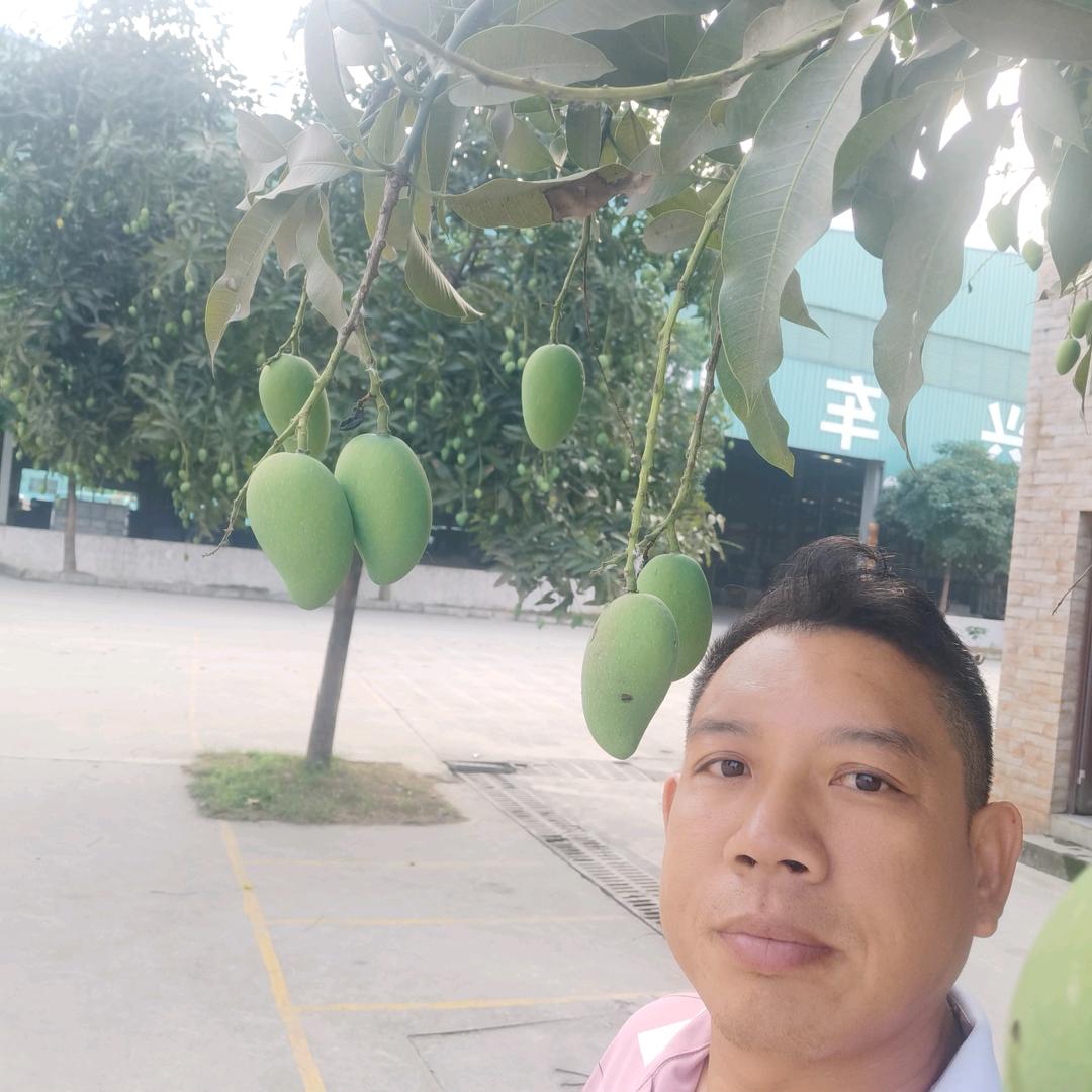奋斗的老李