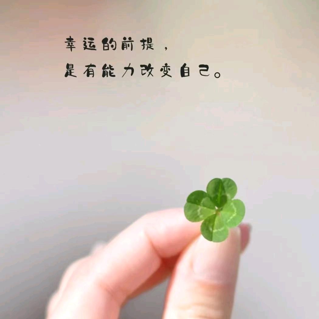 古董商