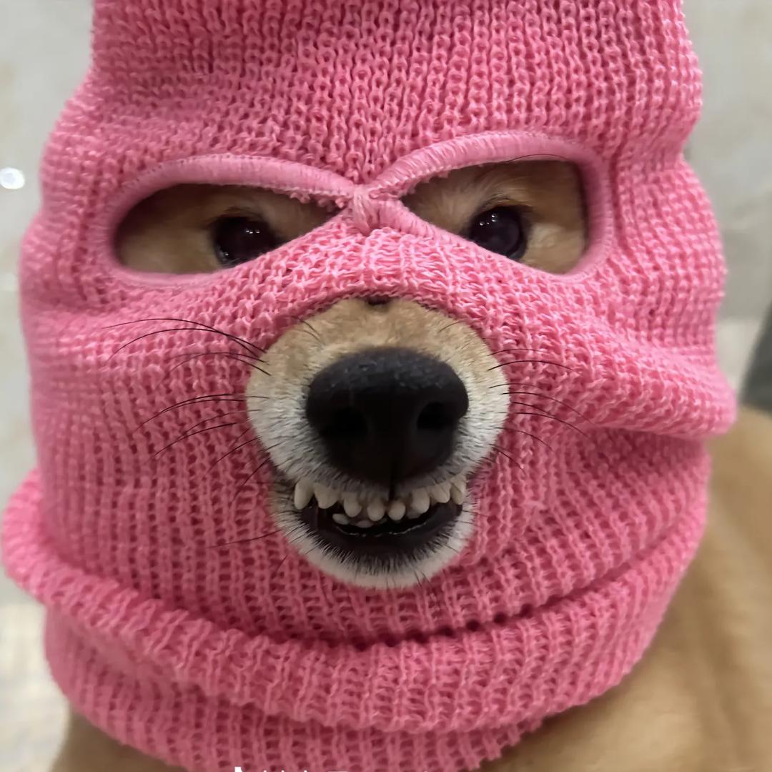 可持续发展中