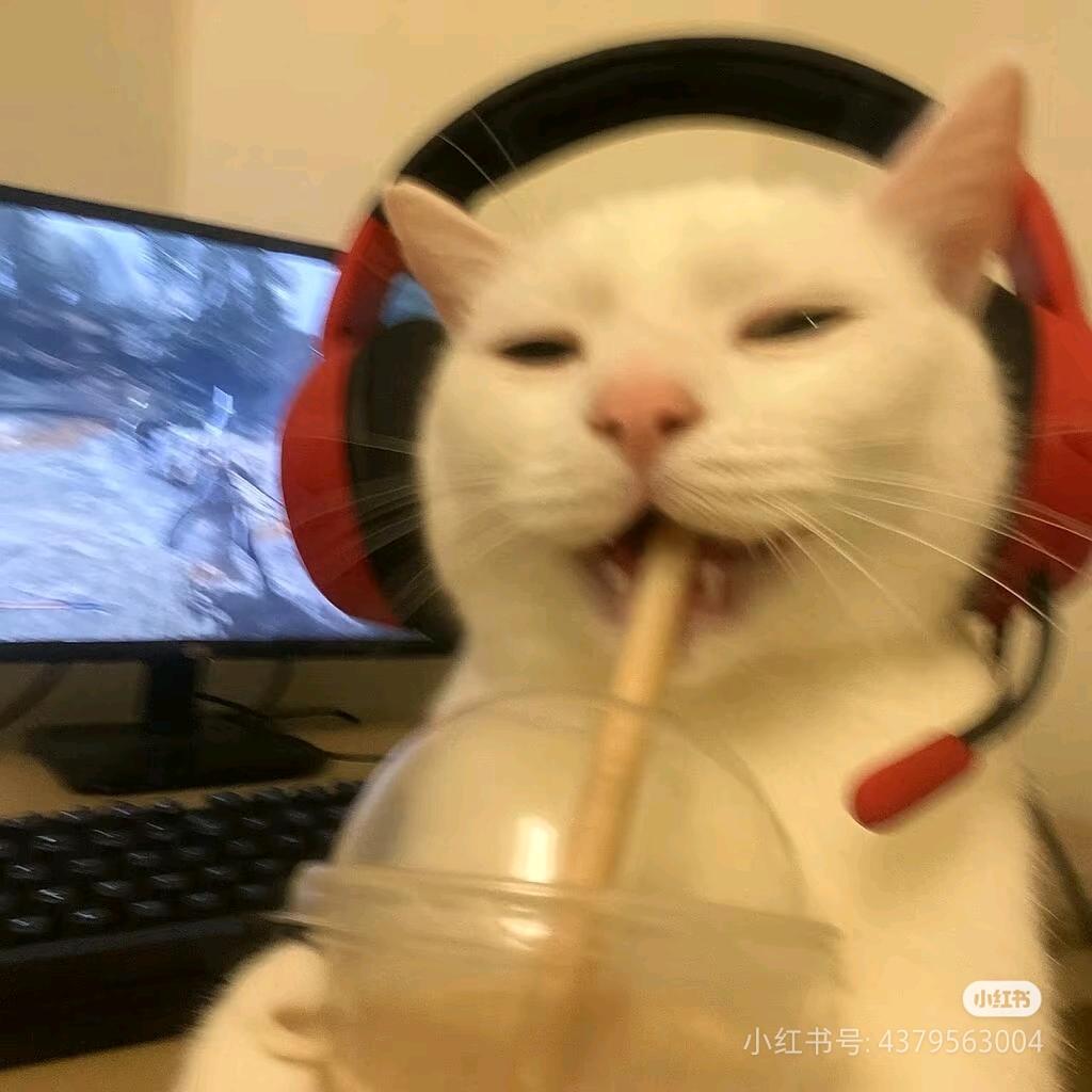 根筋🤗